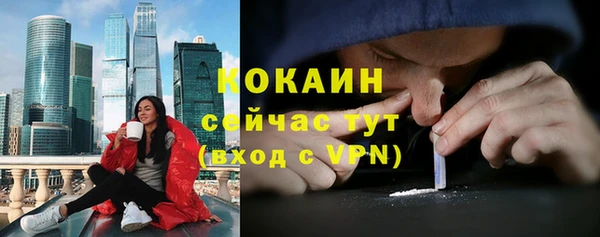 твердый Заводоуковск