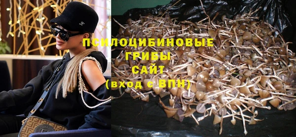 твердый Заводоуковск