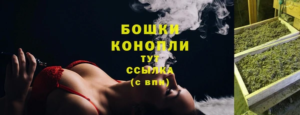 твердый Заводоуковск