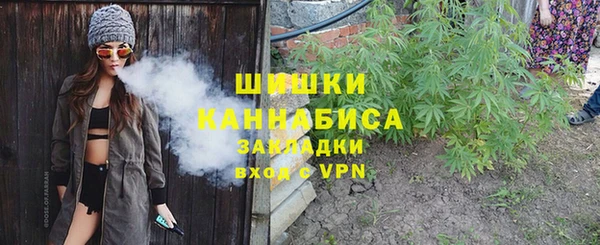 твердый Заводоуковск