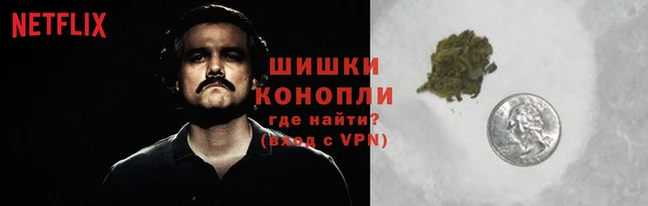 гидропоника Заволжск