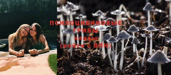 мдпв Зеленодольск