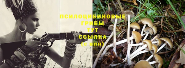 круглые Заволжье