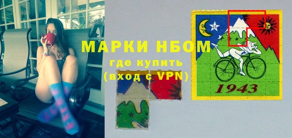 твердый Заводоуковск