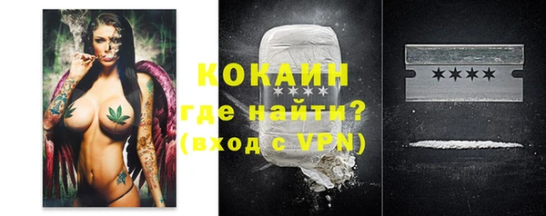 твердый Заводоуковск