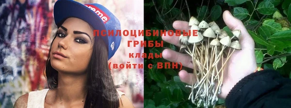 гидропоника Заволжск